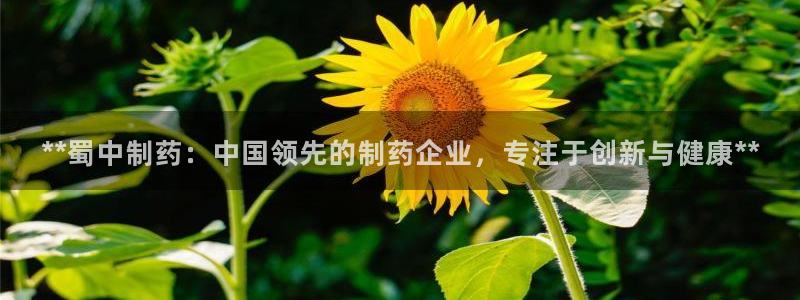 九游会老哥俱乐部论坛版：**蜀中制药：中国领先的制药企业，专注于创新与健康**