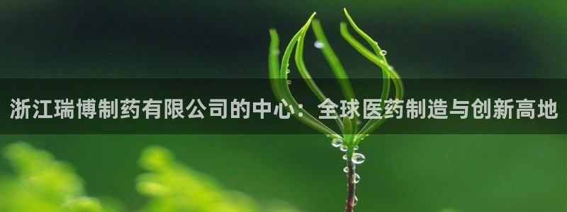 9游会老哥：浙江瑞博制药有限公司的中心：全球医药制造与创新高地