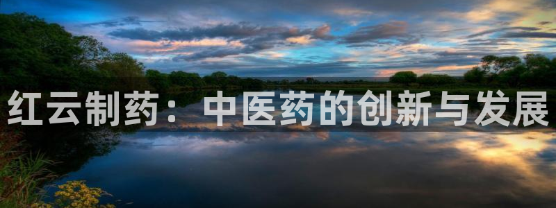 九游会老哥：红云制药：中医药的创新与发展