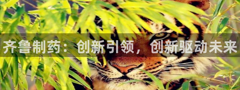 九游会老哥俱乐部官网首页：齐鲁制药：创新引领，创新驱动未来