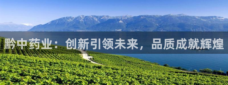 九游会老哥必备的交流社区九：黔中药业：创新引领未来，品质成就辉煌