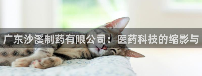 九游老哥俱乐部登录：广东沙溪制药有限公司：医药科技的缩影与