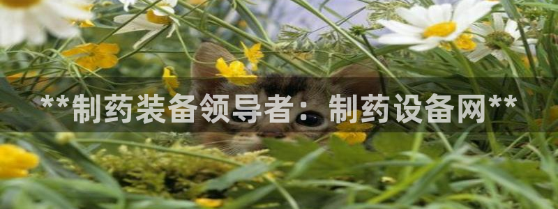 九游会老哥俱乐部官网：**制药装备领导者：制药设备网**