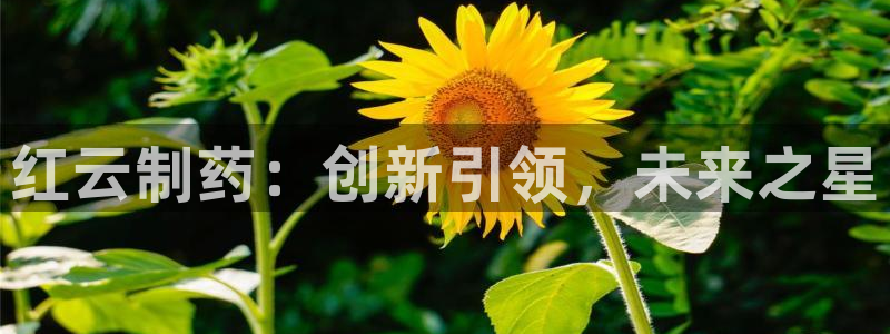 九游会老哥必备的交流社区