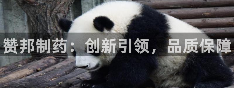 九游老哥俱乐部官网登录：赞邦制药：创新引领，品质保障