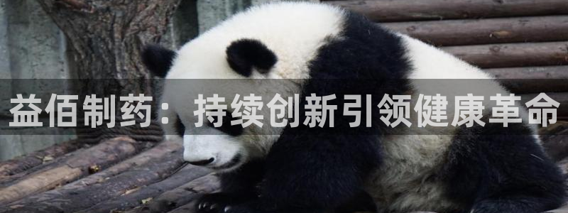 老哥吧九游会：益佰制药：持续创新引领健康革命