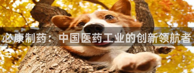 usdt九游会老哥俱乐部：必康制药：中国医药工业的创新领航者